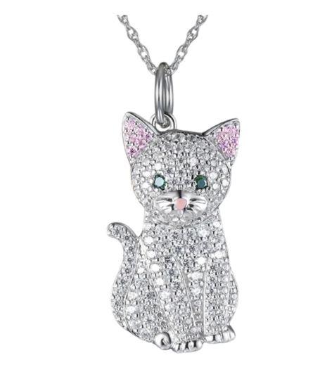 Dije + Cadena Gato plateado