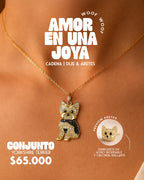 Conjunto  Yorkshire Terrier Elegancia dorada