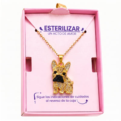 Dije + Cadena Bulldog Francés