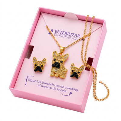 Conjunto Bulldog Francés dorado