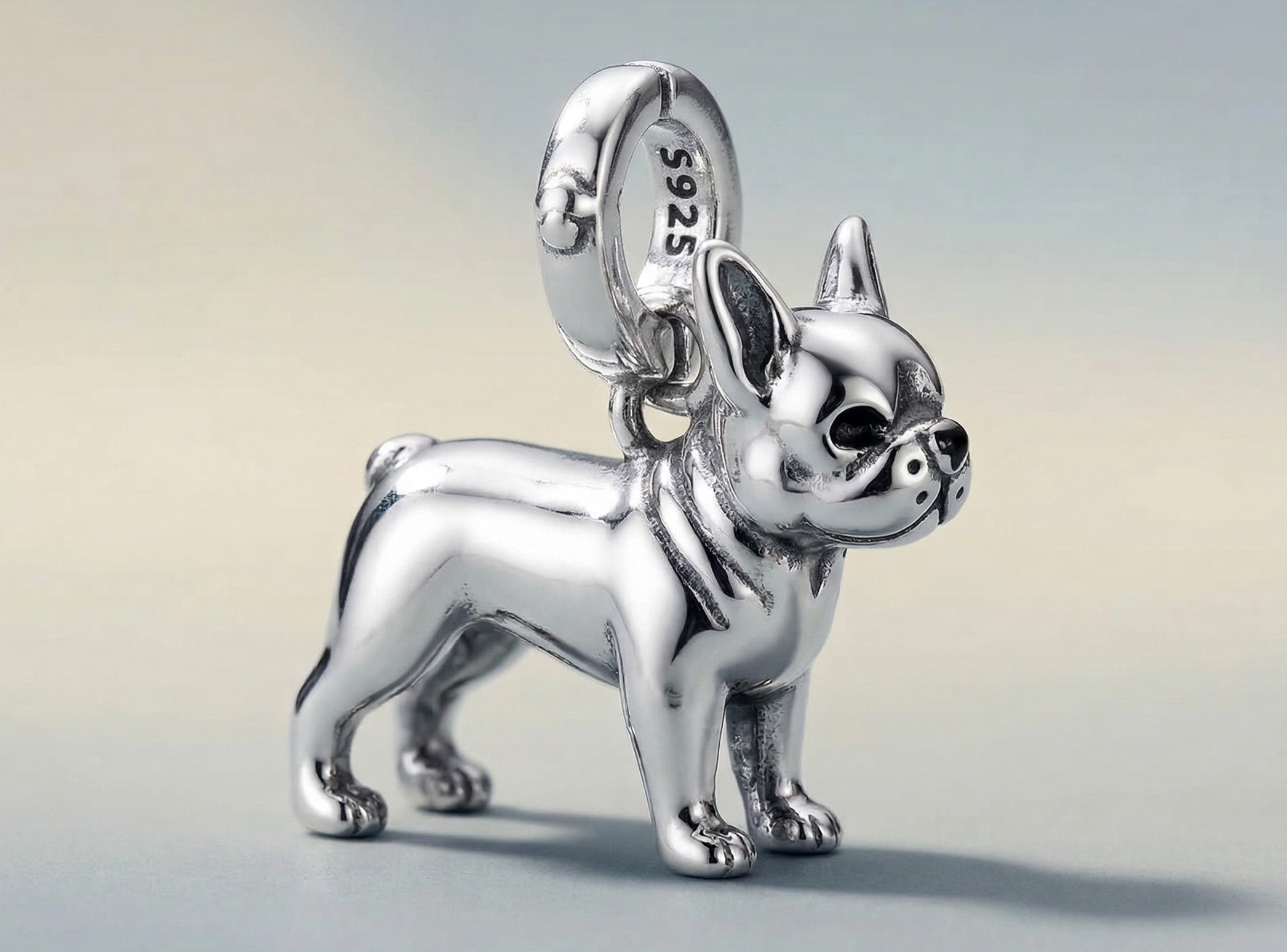 Charm Bulldog francés