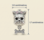 Charm Yorkie lazo