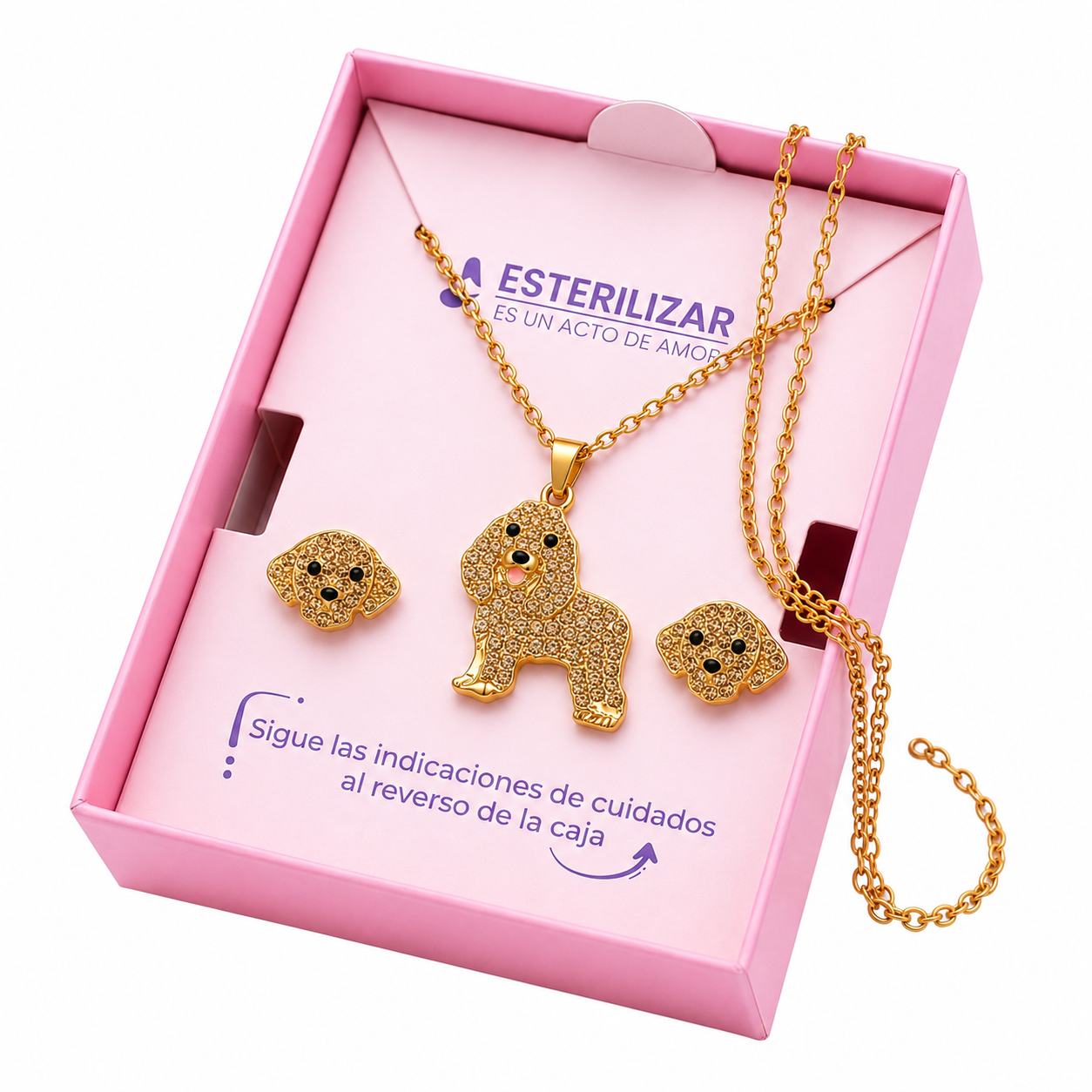 Conjunto Cocker Spaniel