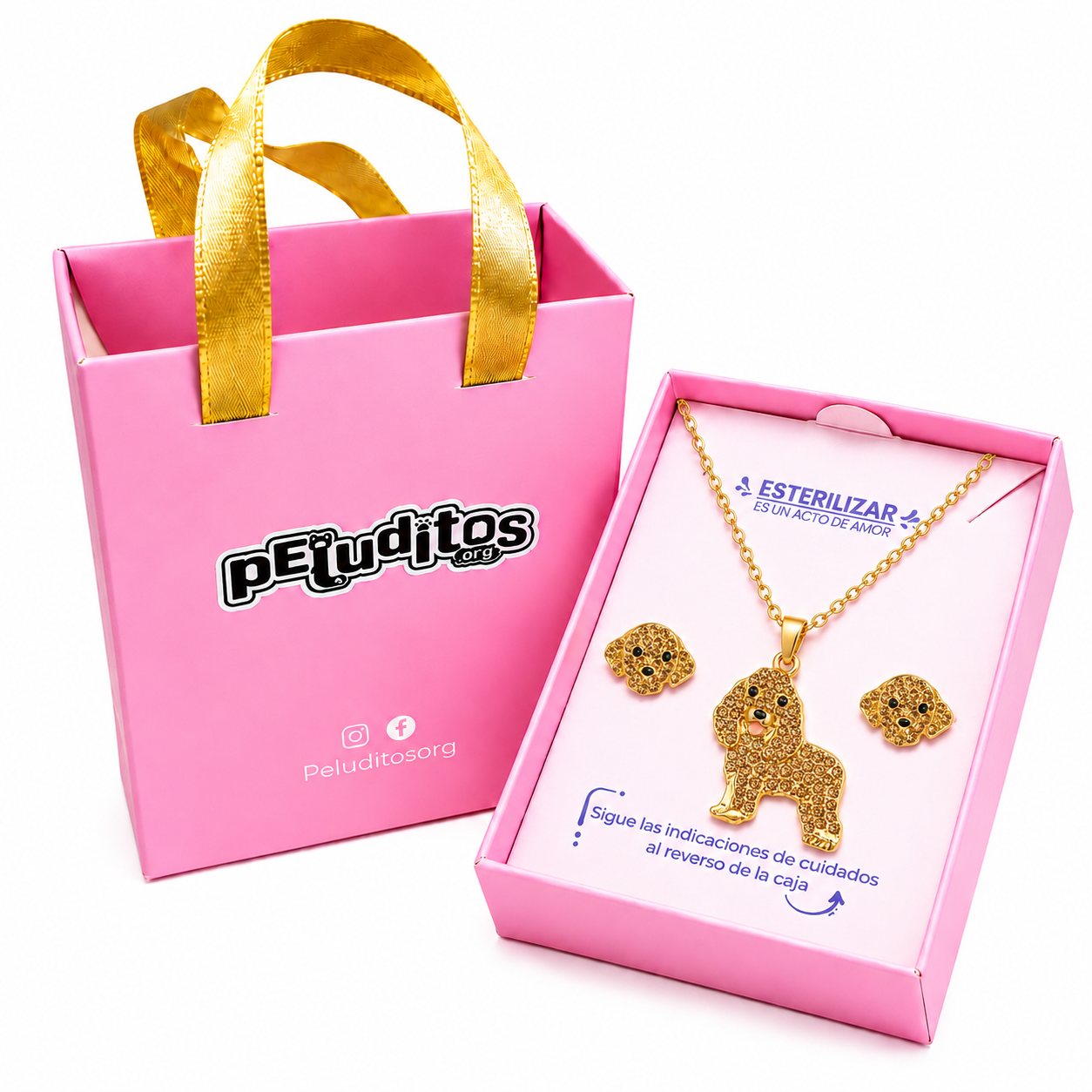 Conjunto Cocker Spaniel