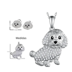 Conjunto Poodle plateado
