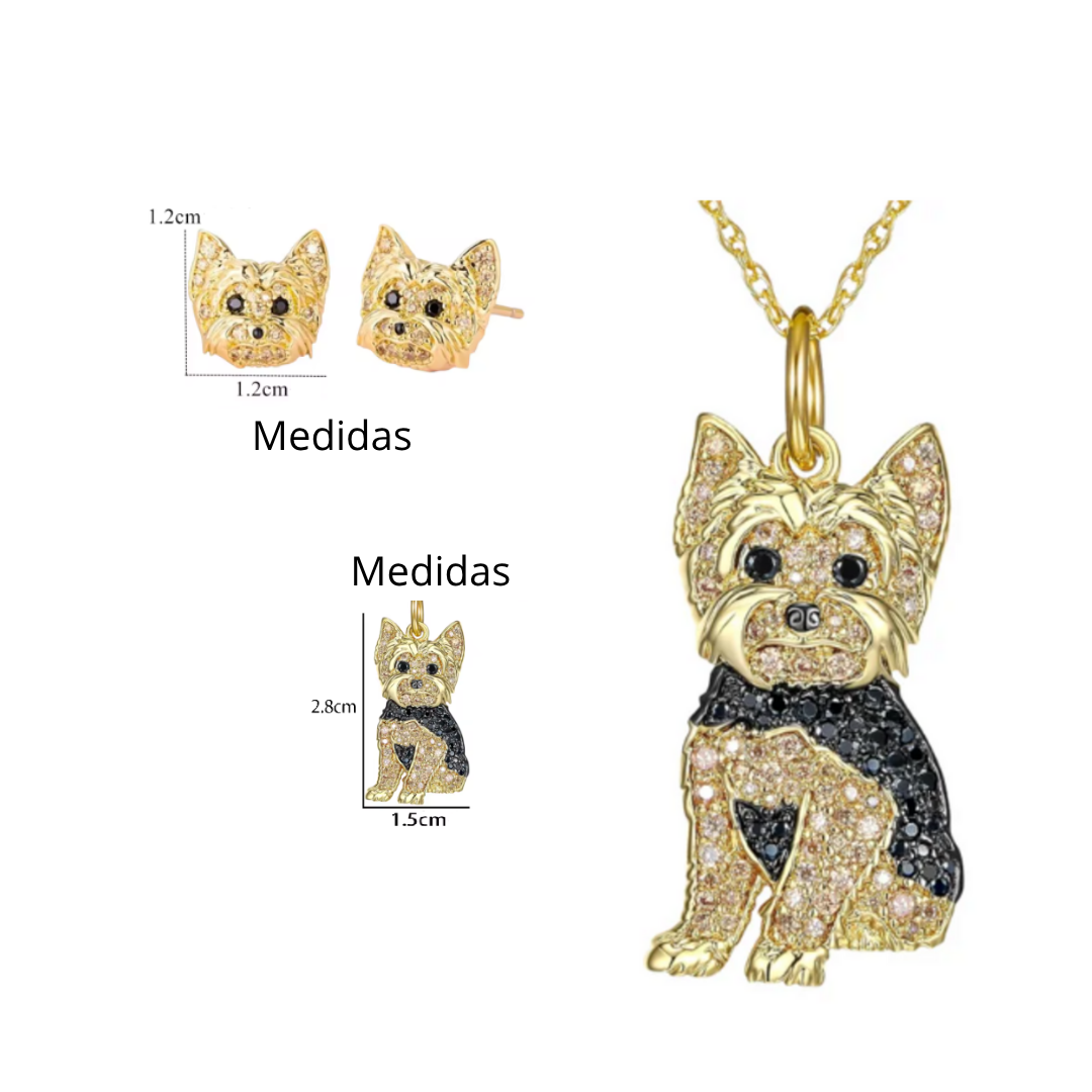 Conjunto  Yorkshire Terrier Elegancia dorada
