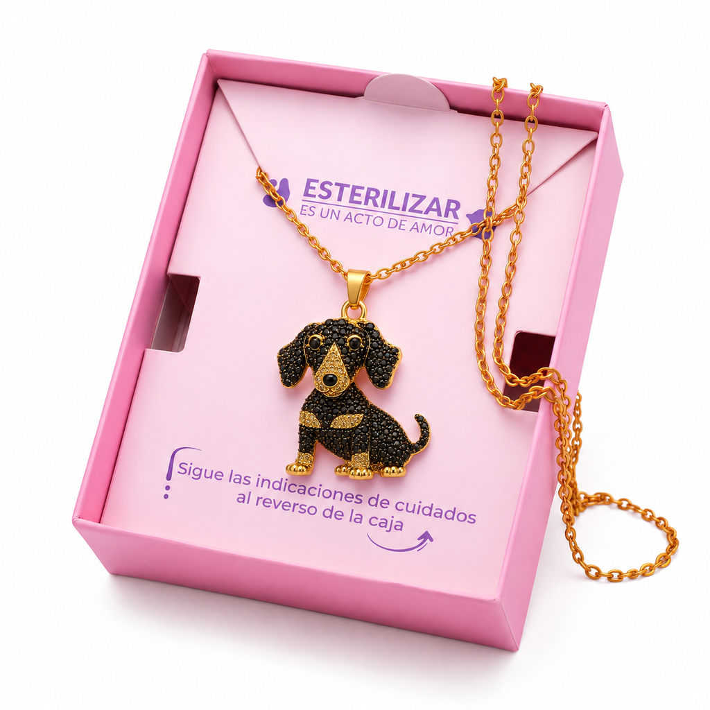 Dije + Cadena Dachshund Dorado