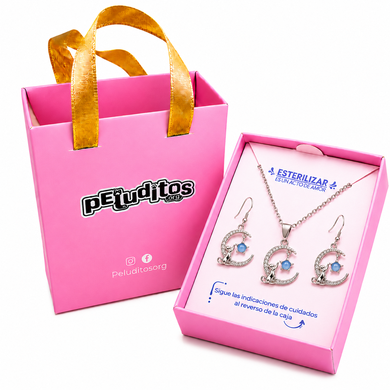 Conjunto Gato plateado media luna estrella