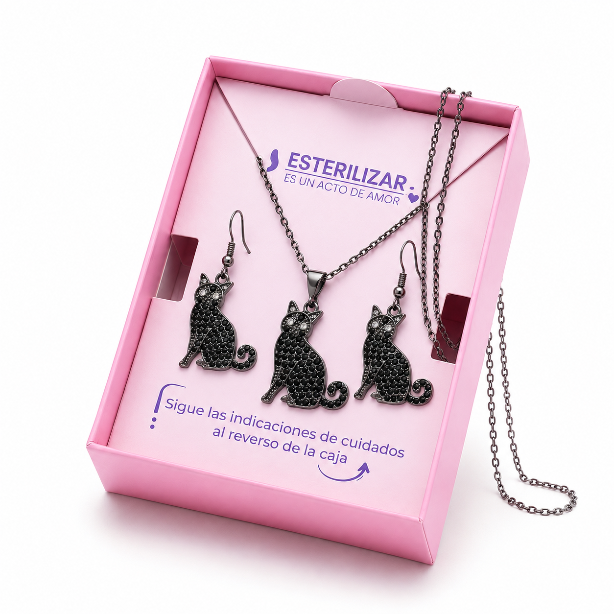 Conjunto Gato Negro