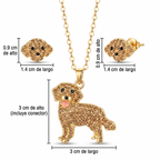 Conjunto Golden Retriver