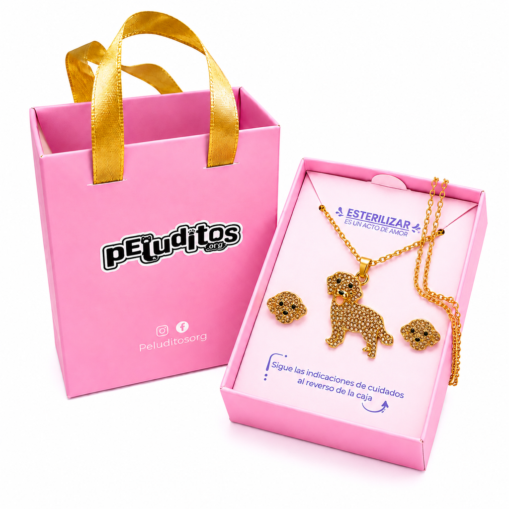 Conjunto Golden Retriver