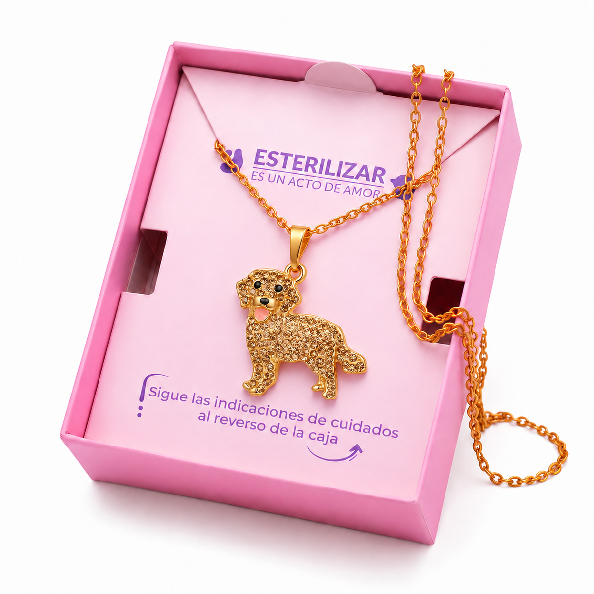 Dije + Cadena Golden Retriever