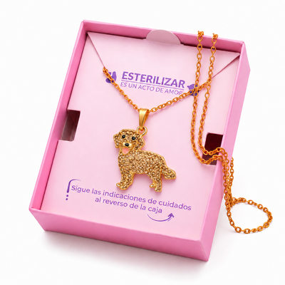 Dije + Cadena Golden Retriever