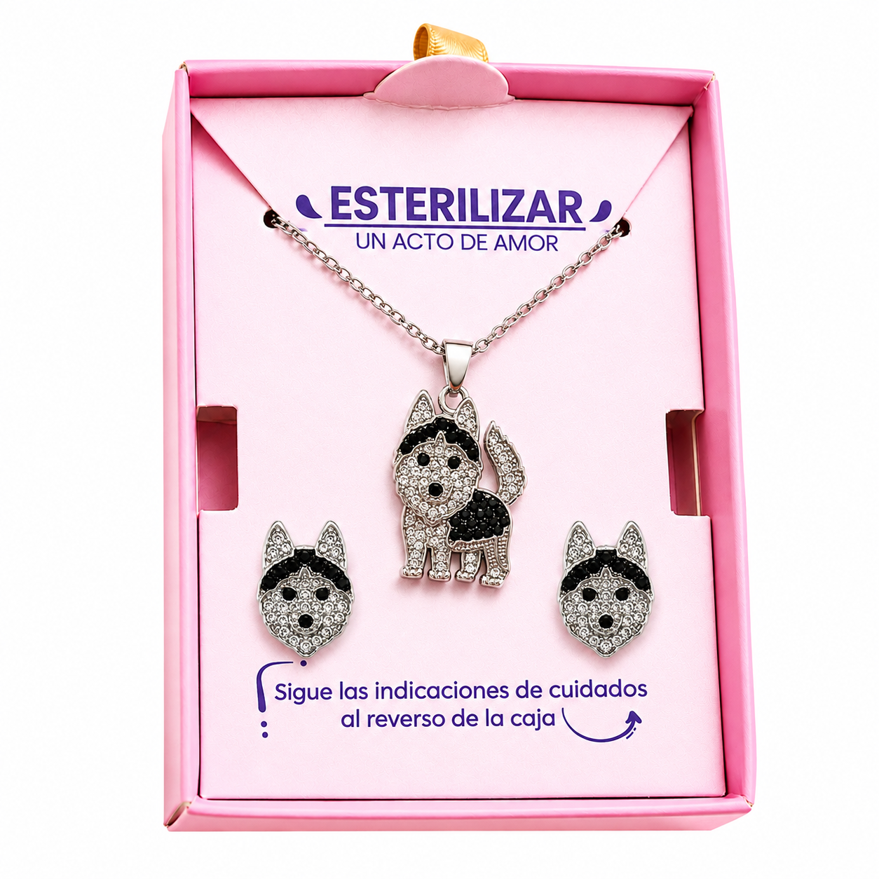 Conjunto Husky Siberiano