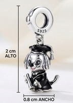 Charm Cachorro graduado