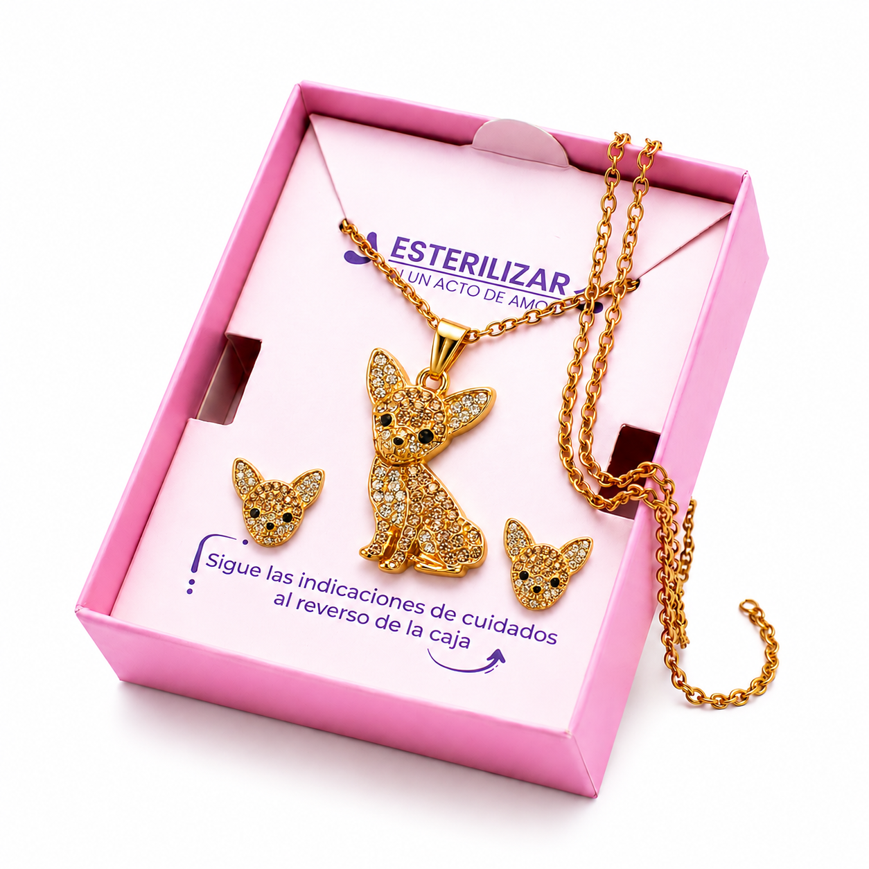 Conjunto Pinscher-Chihuahua Dorado