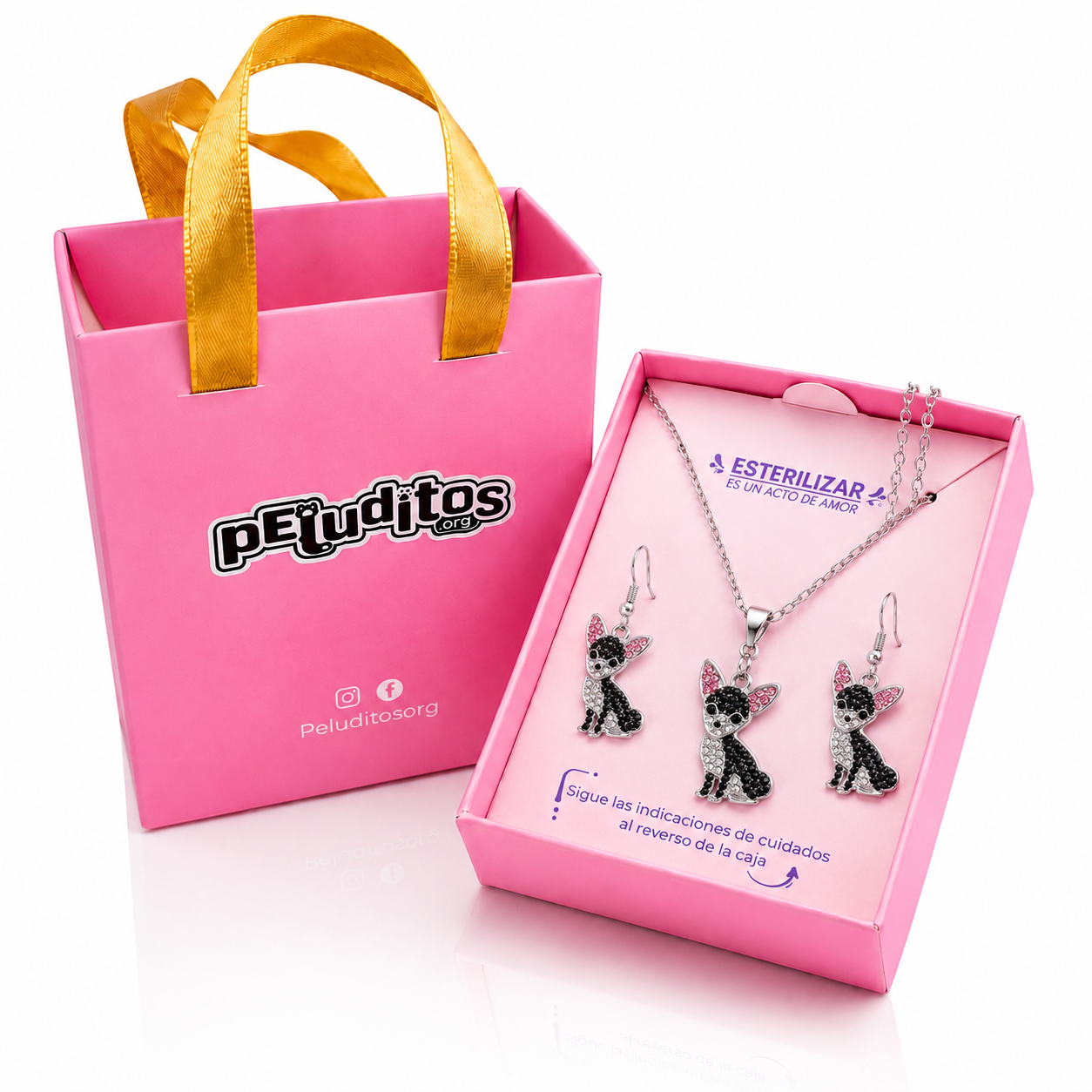 Conjunto Pinscher-Chihuahua Plateado