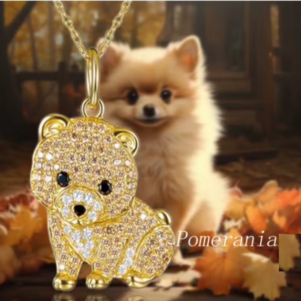 Dije + Cadena Pomerania