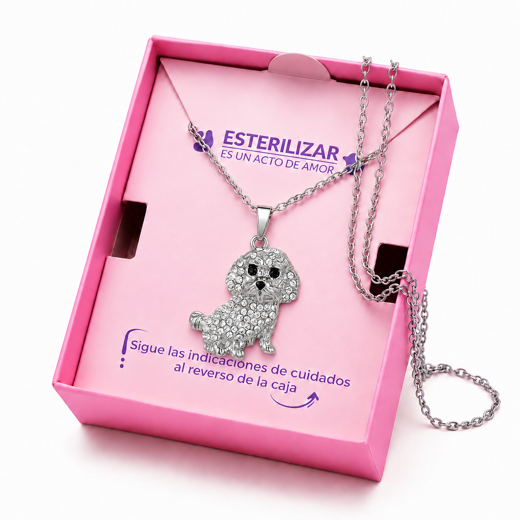 Dije + Cadena Poodle plateado