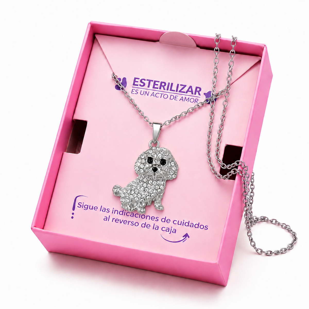 Dije + Cadena Poodle plateado