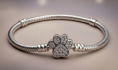 Pulsera pata plateada