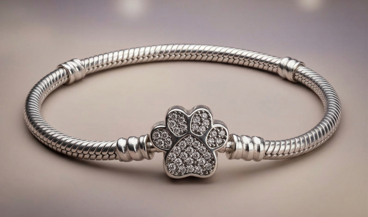 Pulsera pata plateada