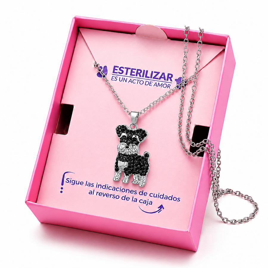 Dije + Cadena Schnauzer Elegancia Brillante