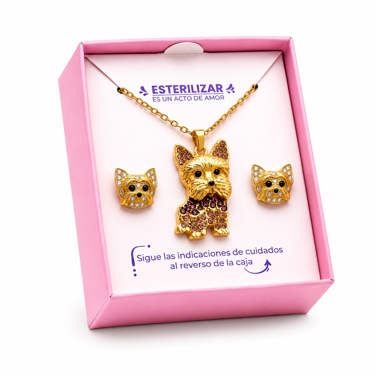 Conjunto Yorkshire Terrier Dorado con púrpura