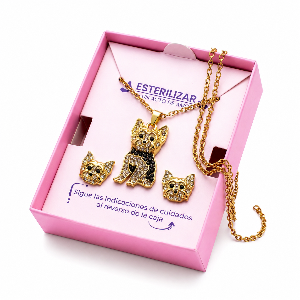Conjunto Yorkshire Terrier Dorado con negro