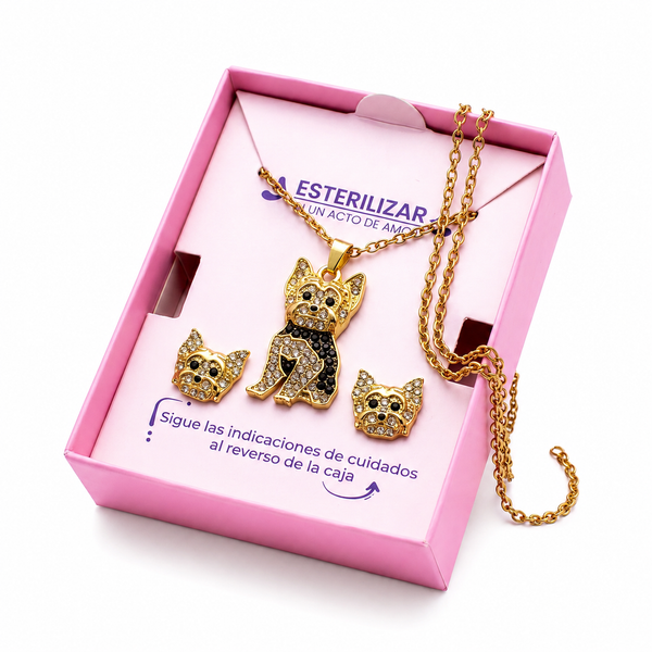 Conjunto Yorkshire Terrier Dorado con negro