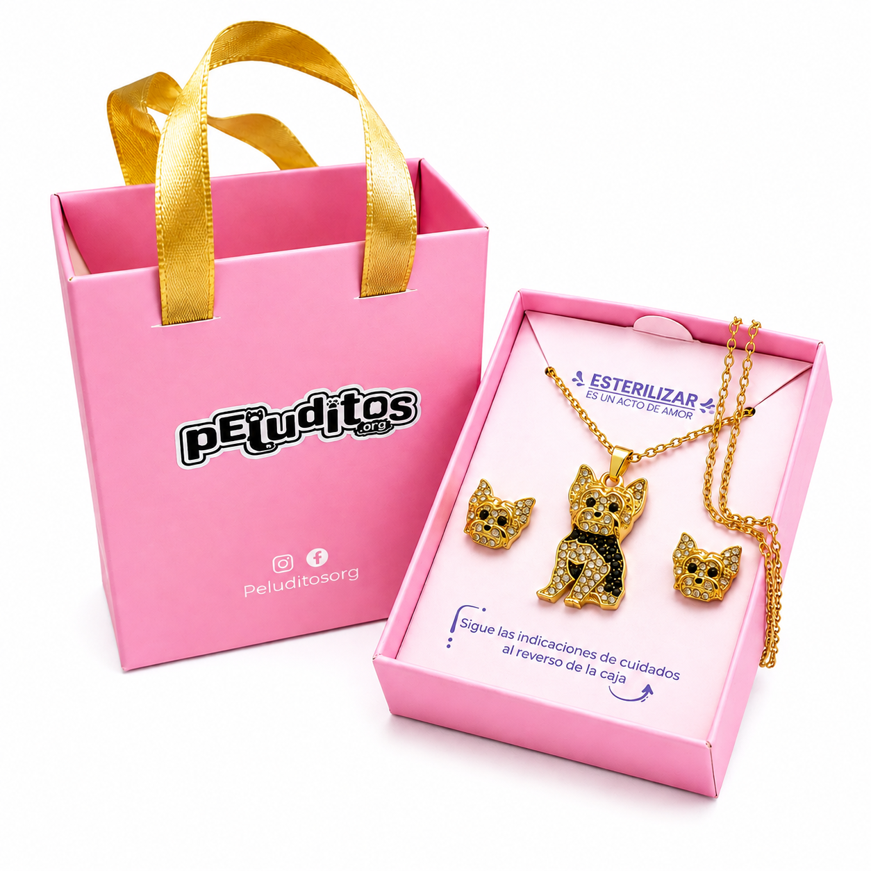 Conjunto Yorkshire Terrier Dorado con negro
