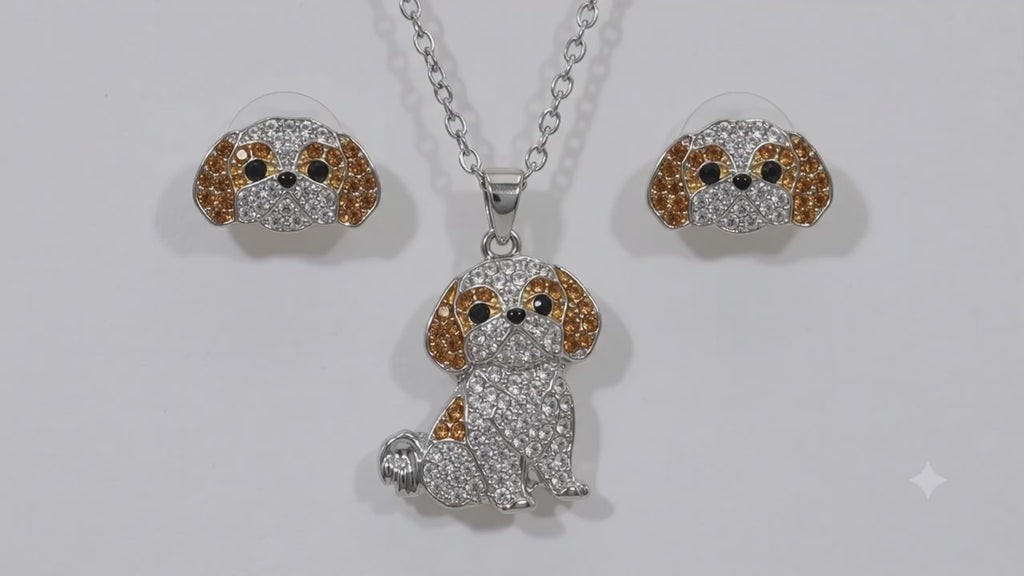 Conjunto Shih Tzu plateado con miel empaque caja de lujo✨✨