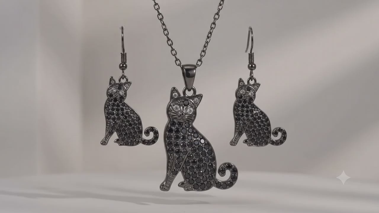 Conjunto Gato Negro