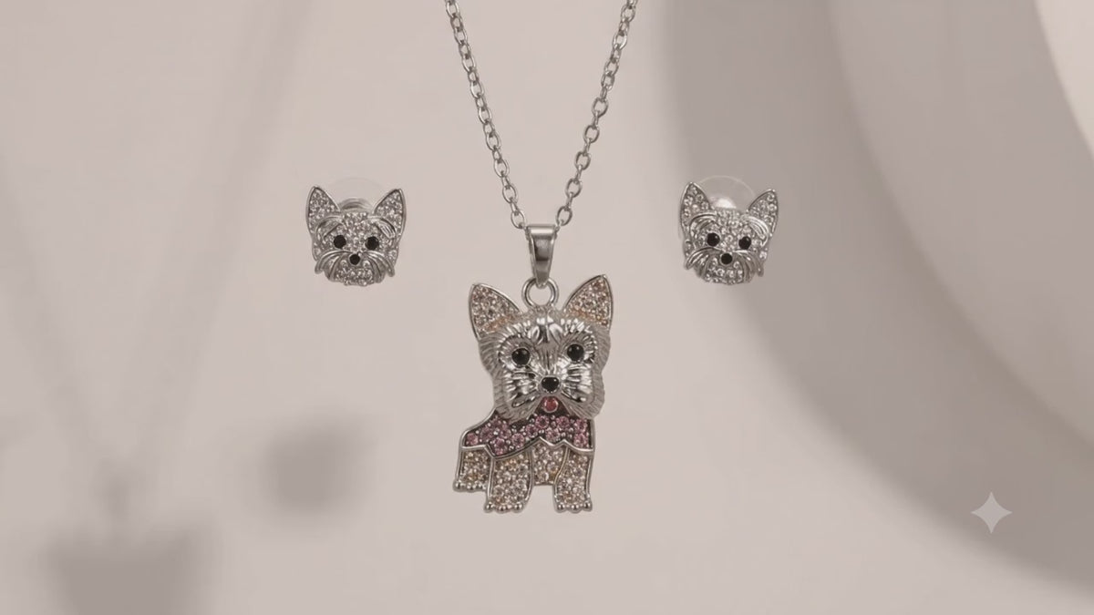 Yorkshire Terrier plateado Conjunto B caja de lujo