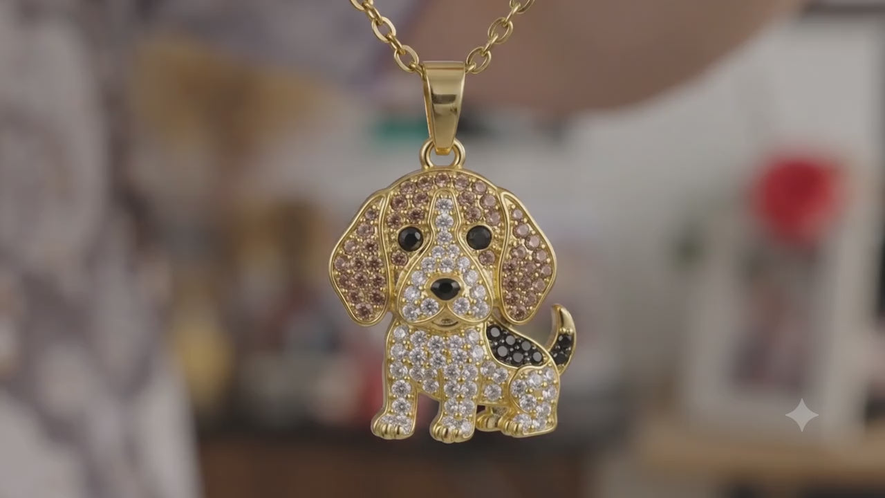 Dije + Cadena Beagle