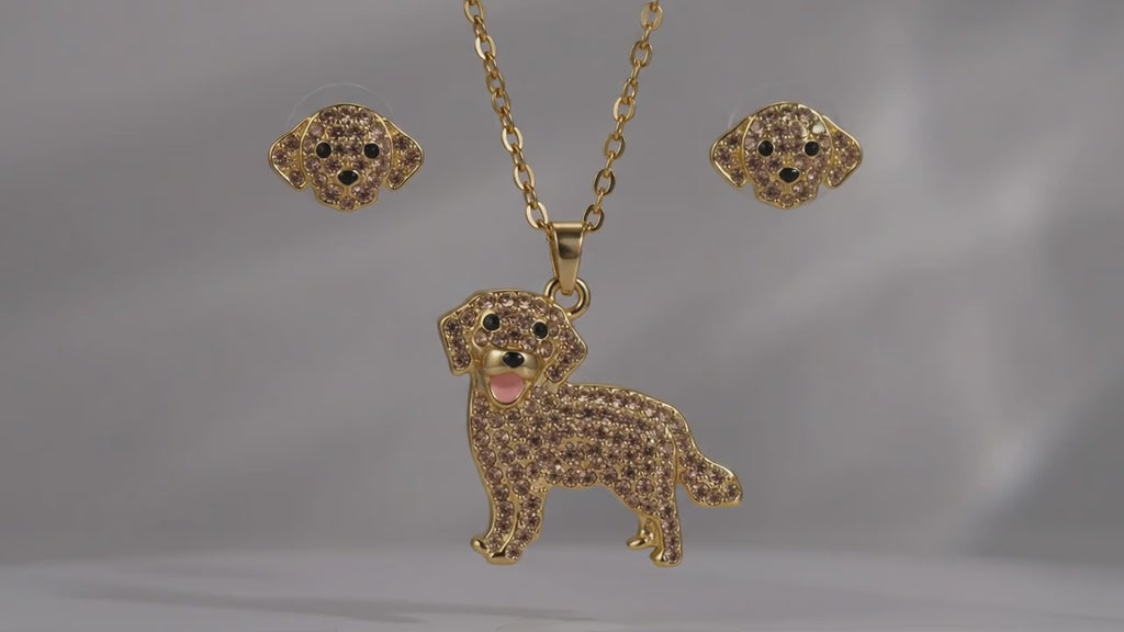 Conjunto Golden Retriver