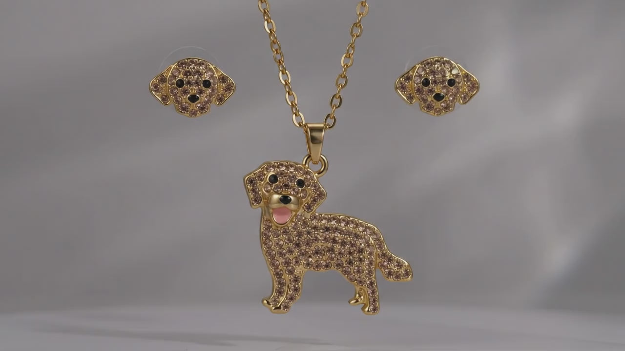 Conjunto Golden Retriver